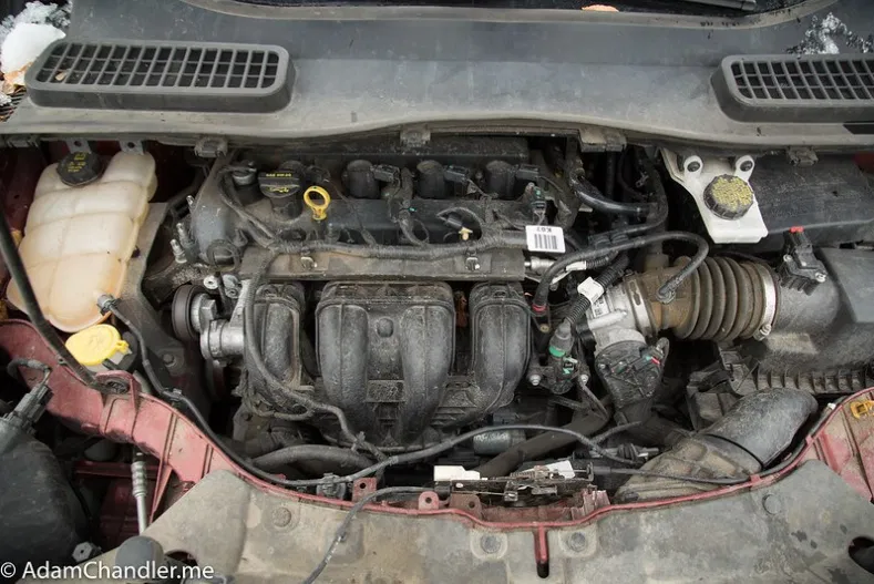 31195952857_2e7f8f6f1b_c.jpg.png 31195952857 2e7f8f6f1b c jpg